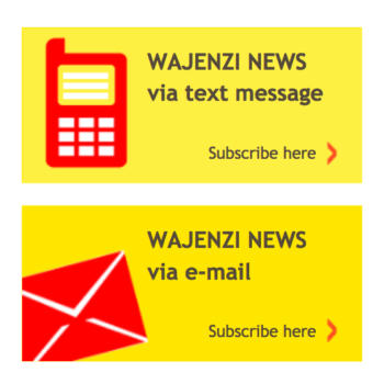 activation_wajenzi
